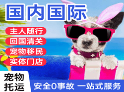 满洲里机场邮寄国际宠物托运 【国
